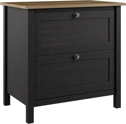 Bush Furniture Mayfield 2 Drawer Lateral File Cabinet in Vintage Black and Reclaimed Pine | Storage for Home Office Workspace