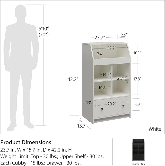 Ameriwood Home The Loft 2 Door Storage Tower, Large, Black Oak