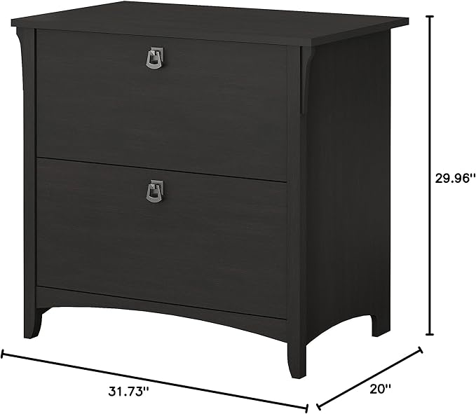 Bush Furniture Salinas 2 Drawer Lateral File Cabinet | Home Office Storage for Letter, Legal, and A4-size Documents, Vintage Black