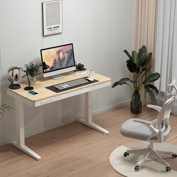 Standing Desk with Drawer and Wireless Charging,48x24 inch Dual Motor Standing Desk, Sit Stand Desk with Whole-Piece Desktop,Stand Up Desk for Home Office(White Oval Legs + Bamboo Top)