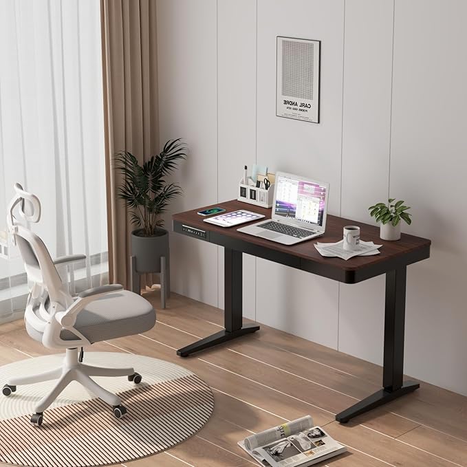 Standing Desk with Drawer and Wireless Charging,48x24 inch Dual Motor Electric Standing Desk,Stand Up Desk with Whole-Piece Desktop(Black Oval Legs+Rustic Brown Top)