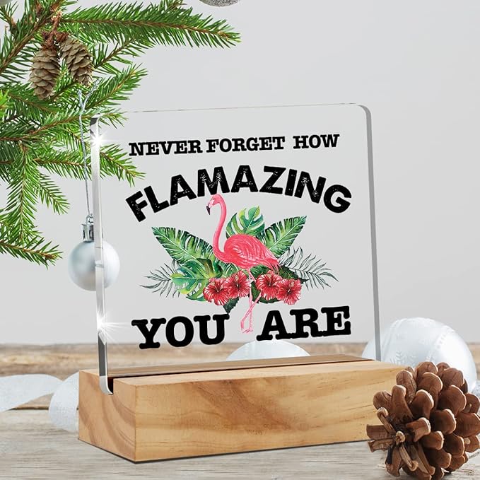 Motivational Flamingo Acrylic Desk Sign Decoration Plaque Never Forget How Flamazing You are Desk Sign Keepsake Home Office Room Desk Decor