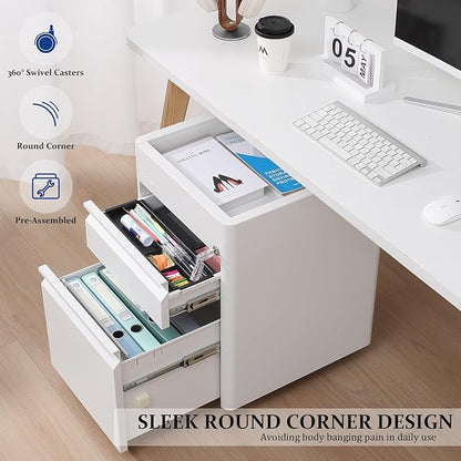 2 Drawer Mobile File Cabinet Top Storage Shelf, Rolling Metal Filing Cabinet for Legal & Letter File Anti-tilt Design with Lock Under Desk Office Drawers Fully Assembled Except Casters(Top ST W)