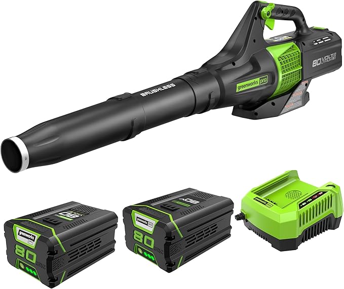 Greenworks Pro 80V (145 MPH / 580 CFM) Brushless Cordless Axial Leaf Blower, 2.5Ah Battery and Charger Included BL80L2510 & PRO 80V 2.0Ah Lithium-Ion Battery (Genuine Battery)