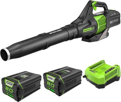 Greenworks Pro 80V (145 MPH / 580 CFM) Brushless Cordless Axial Leaf Blower, 2.5Ah Battery and Charger Included BL80L2510 & PRO 80V 2.0Ah Lithium-Ion Battery (Genuine Battery)