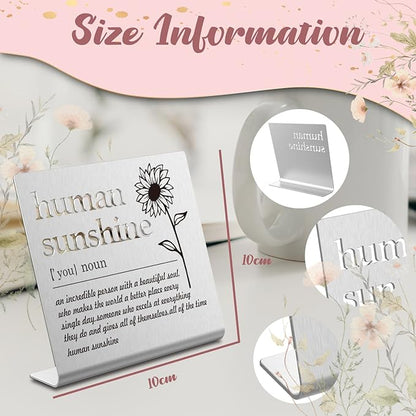 Human Sunshine Definition Desk Signs Funny Appreciation Gifts for Women Thank You Gift for Friends Teacher Coworker Doctor Nurse Gift for Mom Aunt Sister Sunshine Party Decorations (silver) XLK12