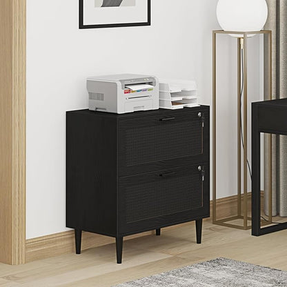 2 Drawer File Cabinet, Lateral File Cabinet with Lock, Rattan Wood Filing Organization Cabinet for Home Office, Black