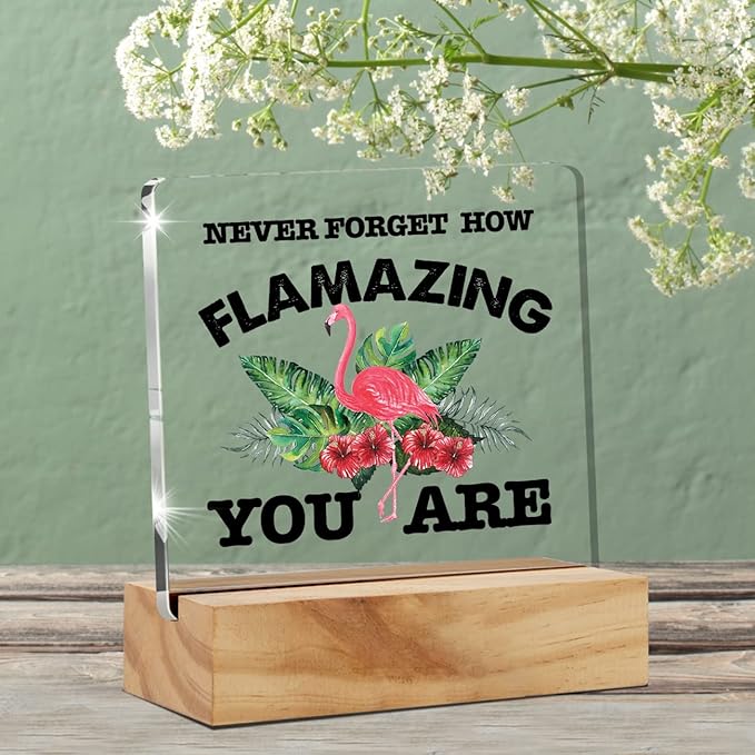 Motivational Flamingo Acrylic Desk Sign Decoration Plaque Never Forget How Flamazing You are Desk Sign Keepsake Home Office Room Desk Decor