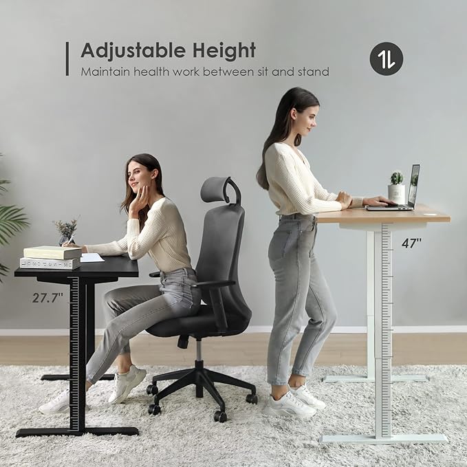 Sunon Sit Laptop Computer Writing Workstations with 3 Pre-Set and USB Port 48" for Home Office Smart Advanced Standing Desk, Oak