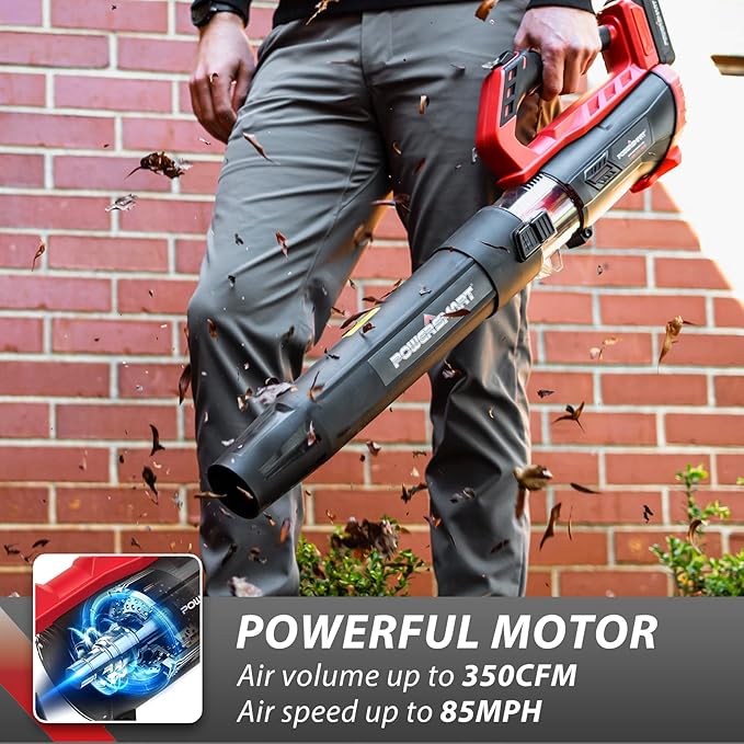 PowerSmart 20V Cordless Leaf Blower with 2 Batteries and Charger, Blowers for Lawn Care, Snow Blowing & Yard Cleaning