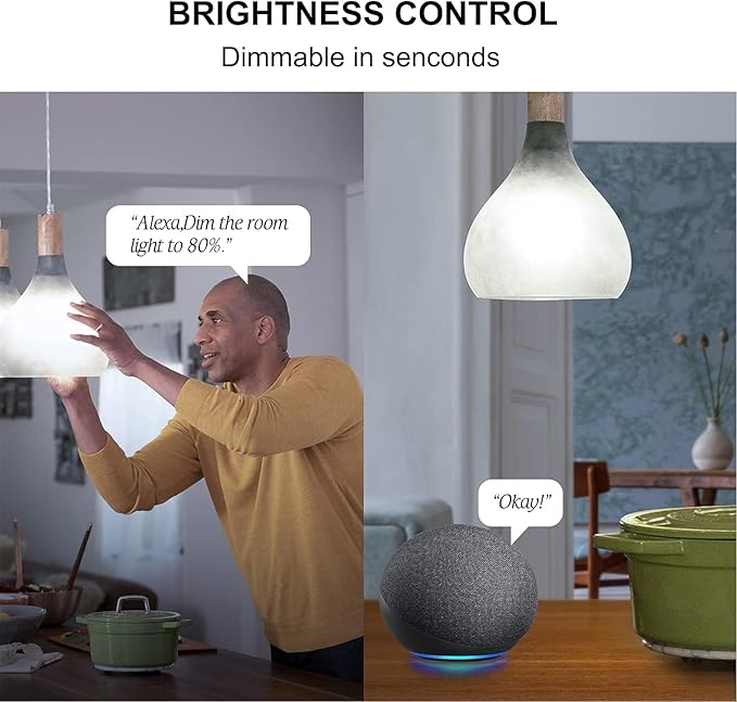 Sengled Alexa WiFi Light Bulb - Smart Bulbs That Work with Alexa/Google Assistant, A19 Daylight (5000K) - No Hub Required, 800LM 60W High CRI)60 Equivalent, 4 Count (Pack of 1)
