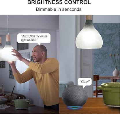 Sengled Alexa WiFi Light Bulb - Smart Bulbs That Work with Alexa/Google Assistant, A19 Daylight (5000K) - No Hub Required, 800LM 60W High CRI)60 Equivalent, 4 Count (Pack of 1)