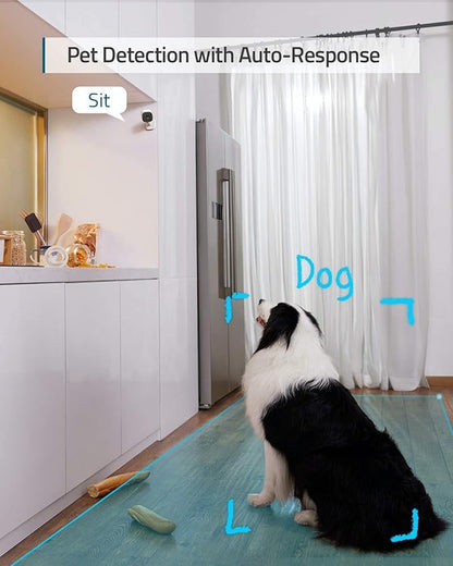 eufy Security Indoor Cam C120 2-Cam Kit | 2K Security Indoor Camera | Plug-in Camera with Wi-Fi | Human and Pet AI | Works with Voice Assistants | Night Vision | Two-Way Audio | HomeBase 3 Compatible