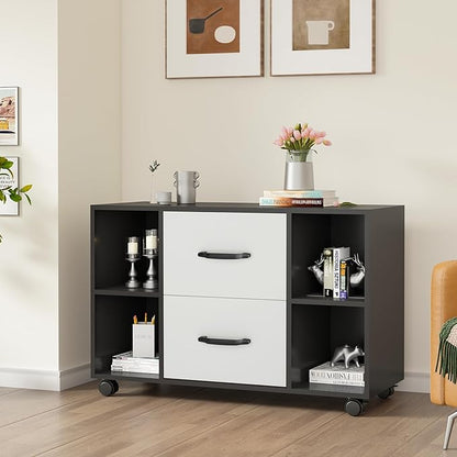 sogesfurniture Mobile Lateral Filing Cabinet with 2 Drawers,Lateral Office Cabinet Printer Stand, Multifunctional Storage Cabinet with Open Shelves and Castors for Home & Office (Black)