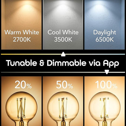 Geeni Smart Light Bulb - Alexa and Google Home Compatible, Amber LED Programmable and Dimmable WiFi Light Bulb, App Controlled (G25-2 Pack)