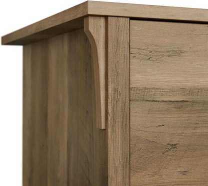 Bush SAF132RCP-03 Salinas 2-Drawer Lateral File Cabinet, Letter/Legal, Reclaimed Pine, 31.73-Inch
