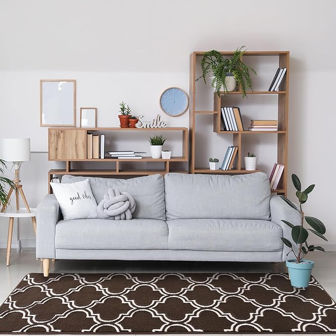 Chicrug Shag Geometric Modern Runner Rug for Bedroom, 2x6 Feet Memory Foam Indoor Hallway Runner Carpet, Fluffy Rug for Living Room Bedside Room Decor for Family, Brown/White