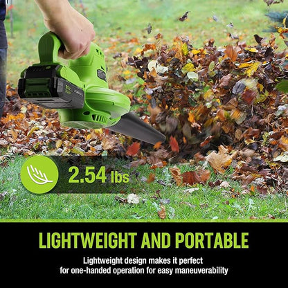 WORKPRO Cordless Leaf Blower, 20V Battery Powered Leaf Blower for Lawn Care, 2-Speed Control Lightweight Mini Electric Leaf Blower wih Battery and Charger
