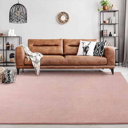 Area Rugs for Bedroom Living Room, 5x8 Pink Super Soft Comfy Thickened Memory-Foam Indoor Carpets, Modern Aesthetic Minimalist Carpet for Boys Girls Adults Apartment Nursery Home Décor