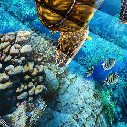 CVHOUSE Sea Turtle Comforter Set,Ocean Sea Turtle Bedding Set for Kids Teens,Ocean Sea Turtle Comforter Sea Turtle Duvet Set Room Decor Quilt Set Full Size