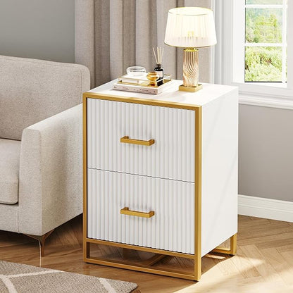 YITAHOME 2 Drawer File Cabinet, Lateral Filing Cabinet for Home Office, White and Gold