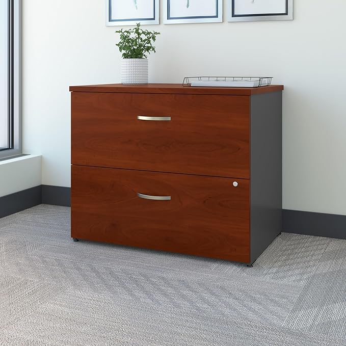 Bush Business Furniture Series C 2 Drawer Lateral File Cabinet, Locking Document Storage for Home or Professional Office, Hansen Cherry