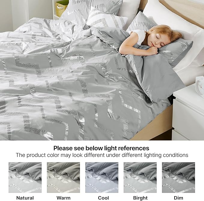 Codi Ziggy Metallic Grey Comforter Set Twin/Twin XL Size, Silver Bedroom Decor for Girls Room, 3 Piece Bedding Sets (2 Matching Sham + 1 Decorative Pillow)