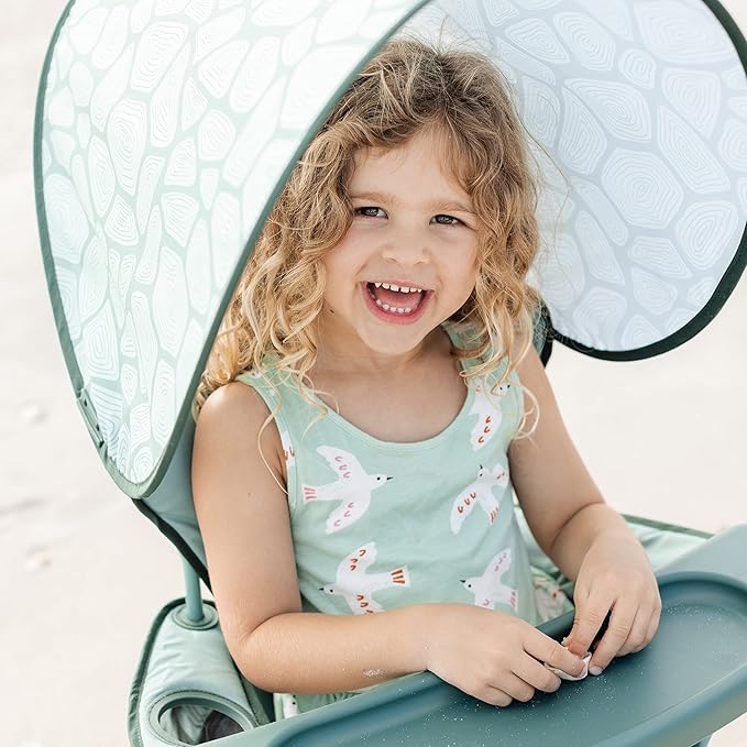 Baby Delight Go with Me Venture Portable Chair | Indoor and Outdoor | Sun Canopy | 3 Child Growth Stages | Garden Green