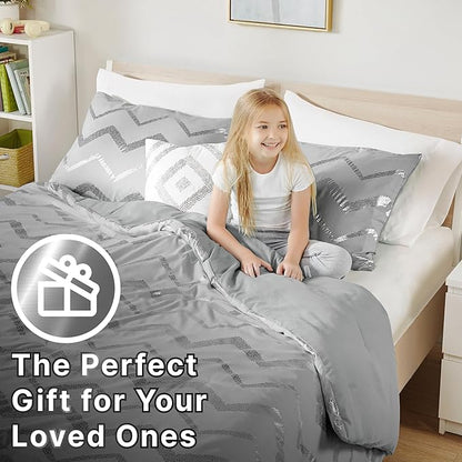 Codi Ziggy Metallic Grey Comforter Set Twin/Twin XL Size, Silver Bedroom Decor for Girls Room, 3 Piece Bedding Sets (2 Matching Sham + 1 Decorative Pillow)