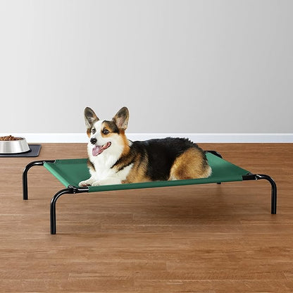 Amazon Basics Cooling Elevated Pet Dog Bed, Medium (43 x 26 x 7.5 Inches), Green