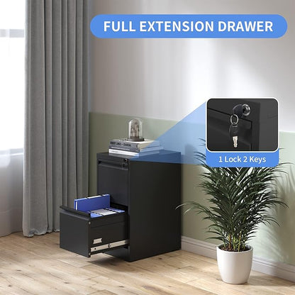 Vertical File Cabinet with Drawers, 2 Drawer File Cabinet for Home Office, Locking File Cabinet Hanging Files for A4/ Legal/Letter, Black