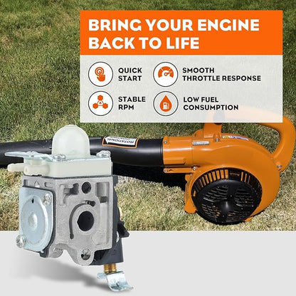 Hipa RB-K106 PB-250LN Carburetor with Repower Kit Spark Plug for Echo Leaf Blower PB250 ES-250 PB-250 PB-250LN Handheld Blower A021003661 Carb