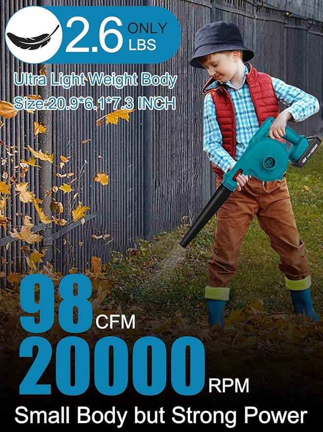 Cordless Leaf Blower with 2 Batteries and Charger,2-in-1 Lightweight Electric Mini Small Handheld Battery Powered Sweeper/Vacuum for Lawn Care,Patio,Blowing Leaves and Snow