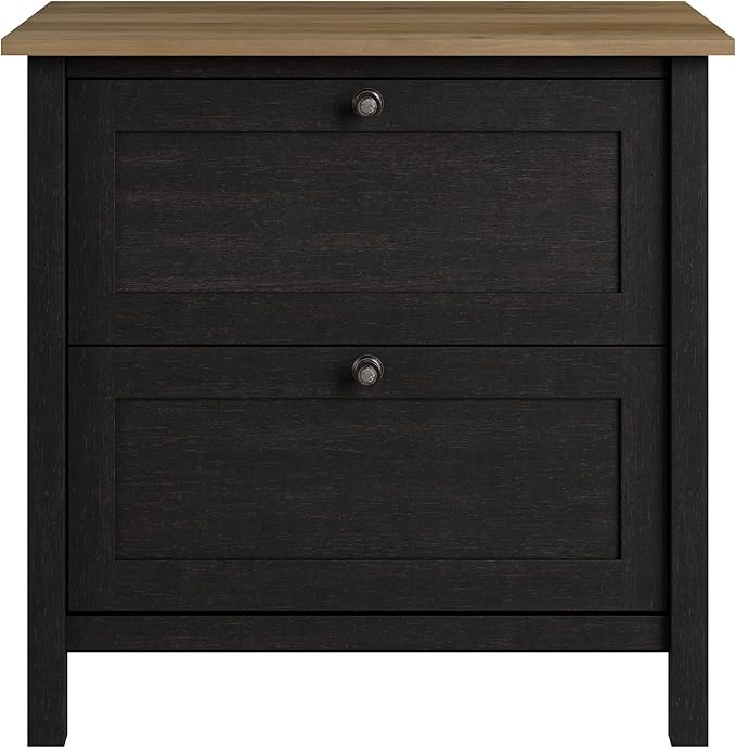 Bush Furniture Mayfield 2 Drawer Lateral File Cabinet in Vintage Black and Reclaimed Pine | Storage for Home Office Workspace