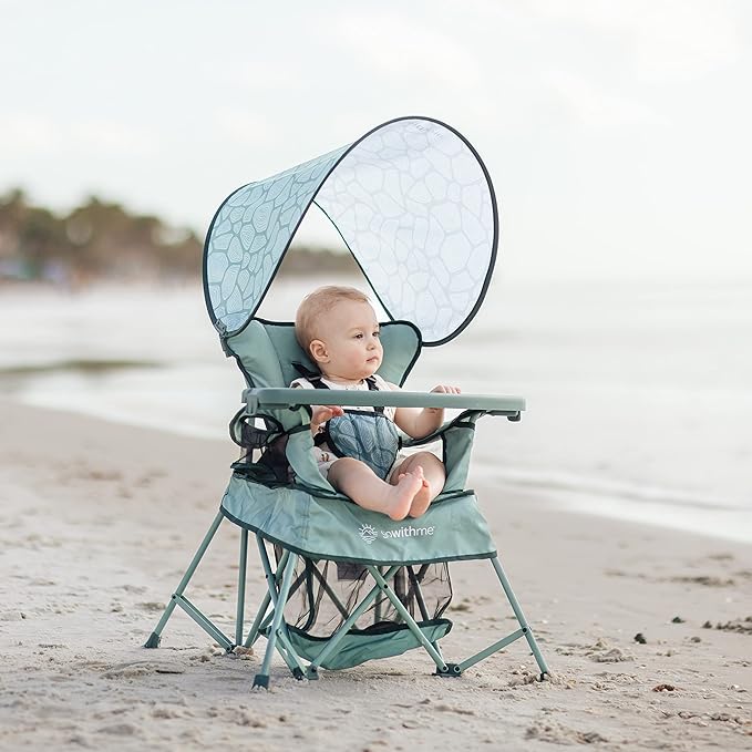 Baby Delight Go with Me Venture Portable Chair | Indoor and Outdoor | Sun Canopy | 3 Child Growth Stages | Garden Green