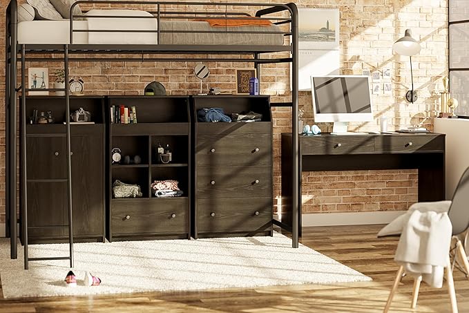 Ameriwood Home The Loft 2 Door Storage Tower, Large, Black Oak