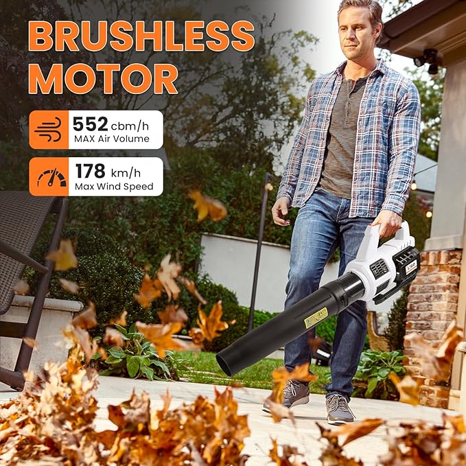 20V Cordless Brushless Leaf Blower for Lawn Care, 580-CFM 160-MPH 4.0Ah Battery Powered with Variable Speed, Handheld, Including Battery&Fast Charger.