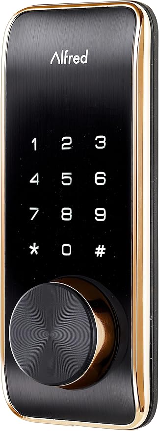 Alfred Touchscreen Keypad Pin + Key Entry Smart Door Lock Combo with Wi-Fi Connect Bridge & Key (DB2W-B-GL)