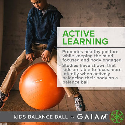 Balance Ball Chair