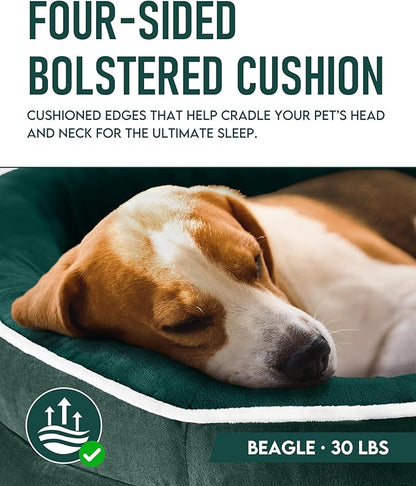 OhGeni Orthopedic Dog Bed Couch for Large Sized Pets with Egg Foam Support, Four-Sided Bolster Cushions, Soft Tear-Resistant Fabric, and Removable Machine Washable Plush Cover 35-Inch (Dark Green)