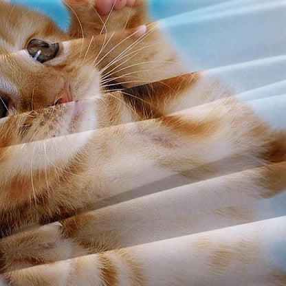 Cat Comforter Set Queen Size for Kids Blue Cat 3Pcs Bedding Set for boys and Girls (1Summer Comforter+ 2 Pillowcases) Lovely Animal Pets Duvet Set