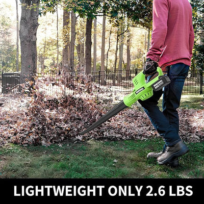 Cordless Leaf Blower, 150MPH Handheld Electric Leaf Blower with 2 x4.0Ah Battery and Charger, 2 Speed Modes, 20V Lightweight Battery Operated Leaf Blowers for Lawn Care, Patio, Blowing Leaves and Snow