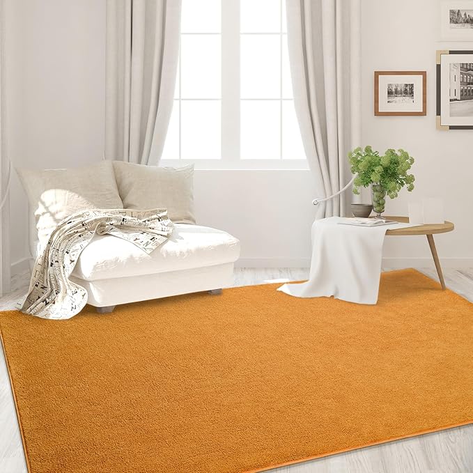 Area Rugs for Bedroom Living Room, 6x9 Orange Super Soft Comfy Thickened Memory-Foam Indoor Carpets, Modern Aesthetic Minimalist Carpet for Boys Girls Adults Apartment Nursery Home Décor