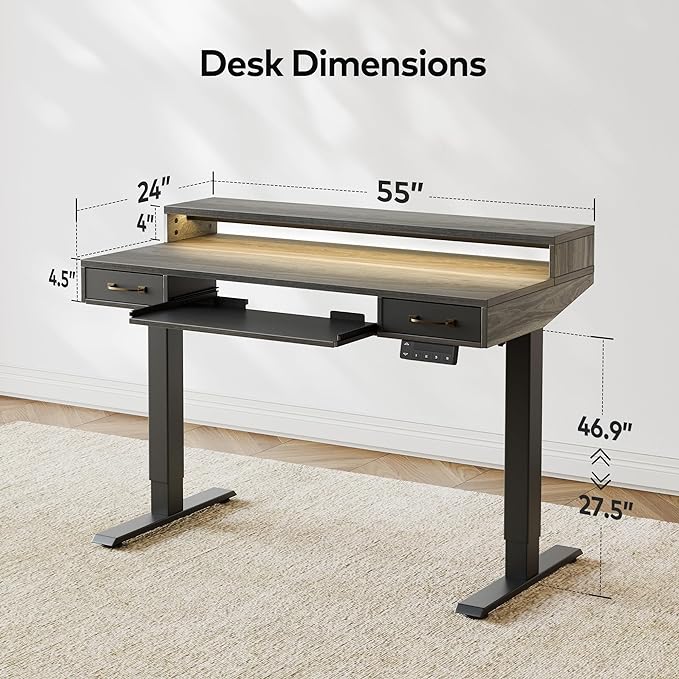 FEZIBO 55 x 25 Inch Height Adjustable Electric Standing Desk with Double Drawers&Keyboard Tray, Stand Up Desk with LED Strips, Sit Stand Desk with Monitor Stand, Rustic Grey