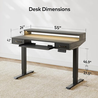 FEZIBO 55 x 25 Inch Height Adjustable Electric Standing Desk with Double Drawers&Keyboard Tray, Stand Up Desk with LED Strips, Sit Stand Desk with Monitor Stand, Rustic Grey