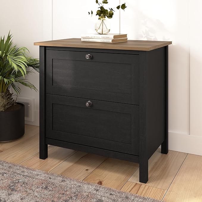 Bush Furniture Mayfield 2 Drawer Lateral File Cabinet in Vintage Black and Reclaimed Pine | Storage for Home Office Workspace