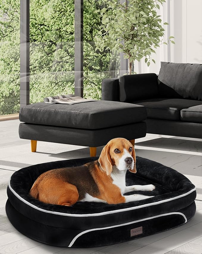 OhGeni Orthopedic Dog Bed Couch for Large Sized Pets with Egg Foam Support, Four-Sided Bolster Cushions, Soft Tear-Resistant Fabric, and Removable Machine Washable Plush Cover 35-Inch (Black)