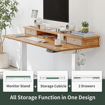 FEZIBO 48 x 24 Inch Height Adjustable Electric Standing Desk with Double Drawer, Stand Up Desk with Storage Shelf, Sit Stand Desk, Light Rustic