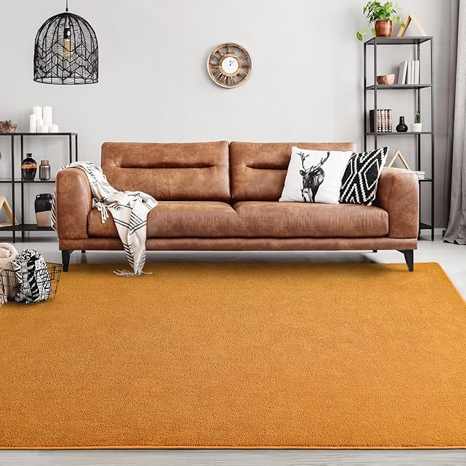 Area Rugs for Bedroom Living Room, 6x9 Orange Super Soft Comfy Thickened Memory-Foam Indoor Carpets, Modern Aesthetic Minimalist Carpet for Boys Girls Adults Apartment Nursery Home Décor