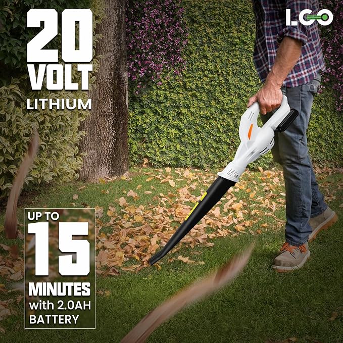 20V Cordless Leaf Blower Battery Powered for Lawn Care, Patio, Blowing Leaves and Snow, Handheld Lightweight including 2.0Ah Battery& Fast Charger